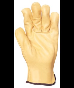 Guanti da lavoro in pelle di vitello Coverguard Eurostrong 2230