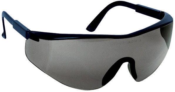 occhiali di protezione Coverguard Sablux