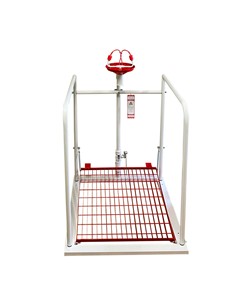 Lavaocchi di emergenza a pedana Safemax