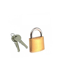 Lucchetto arco standard per barriera girevole Safemax