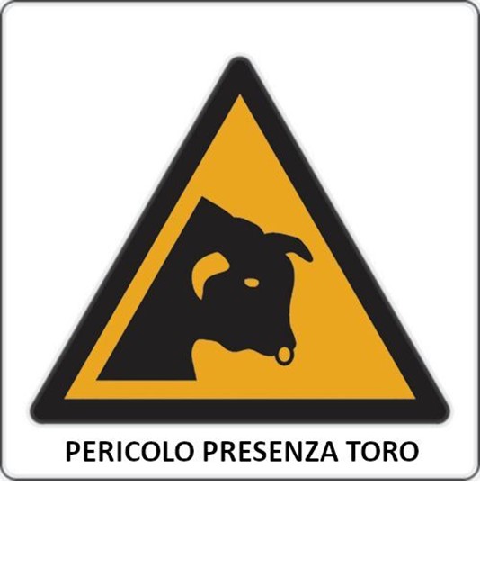 Cartello di pericolo 'pericolo presenza toro' Cartello di pericolo 'pericolo presenza toro'