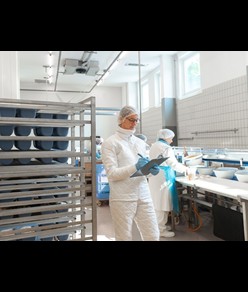 Giubbotto da lavoro trapuntato Fortdress PERFORMANCE HYGIENE