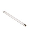 Tubo neon