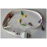 Cavo ECG