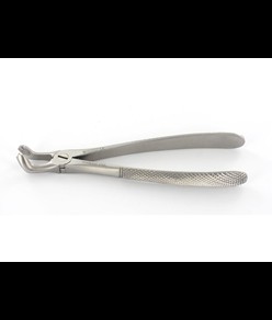 Pinza estrazione dentale