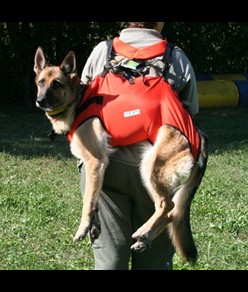 Imbracatura per cani da soccorso Alp Design AD Taxi