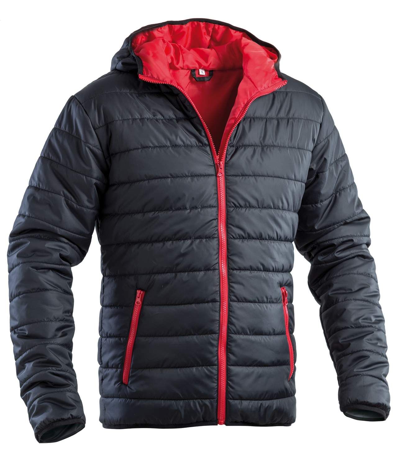 Piumino P&P Loyal London