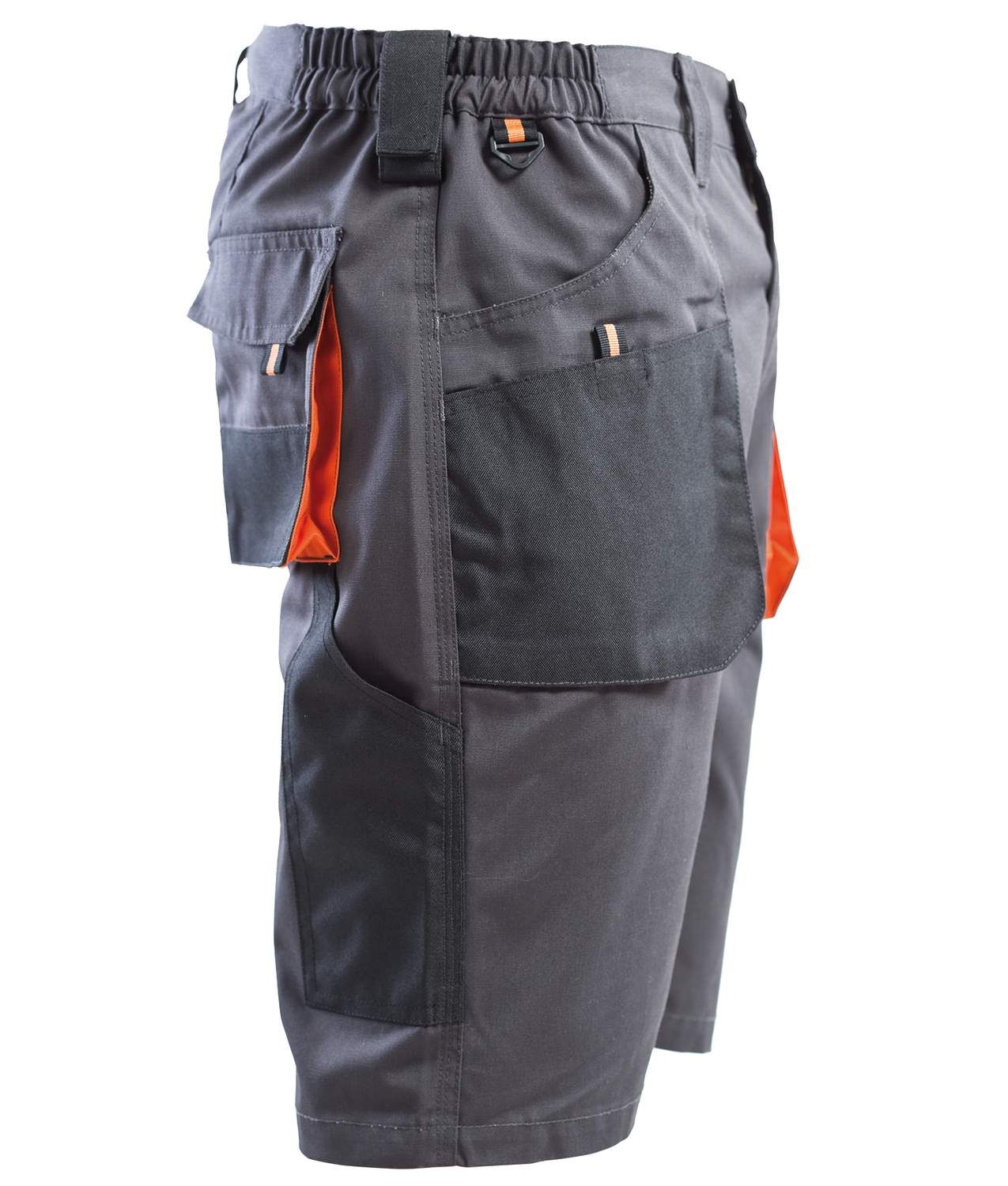 Bermuda da lavoro P&P Loyal Liberty