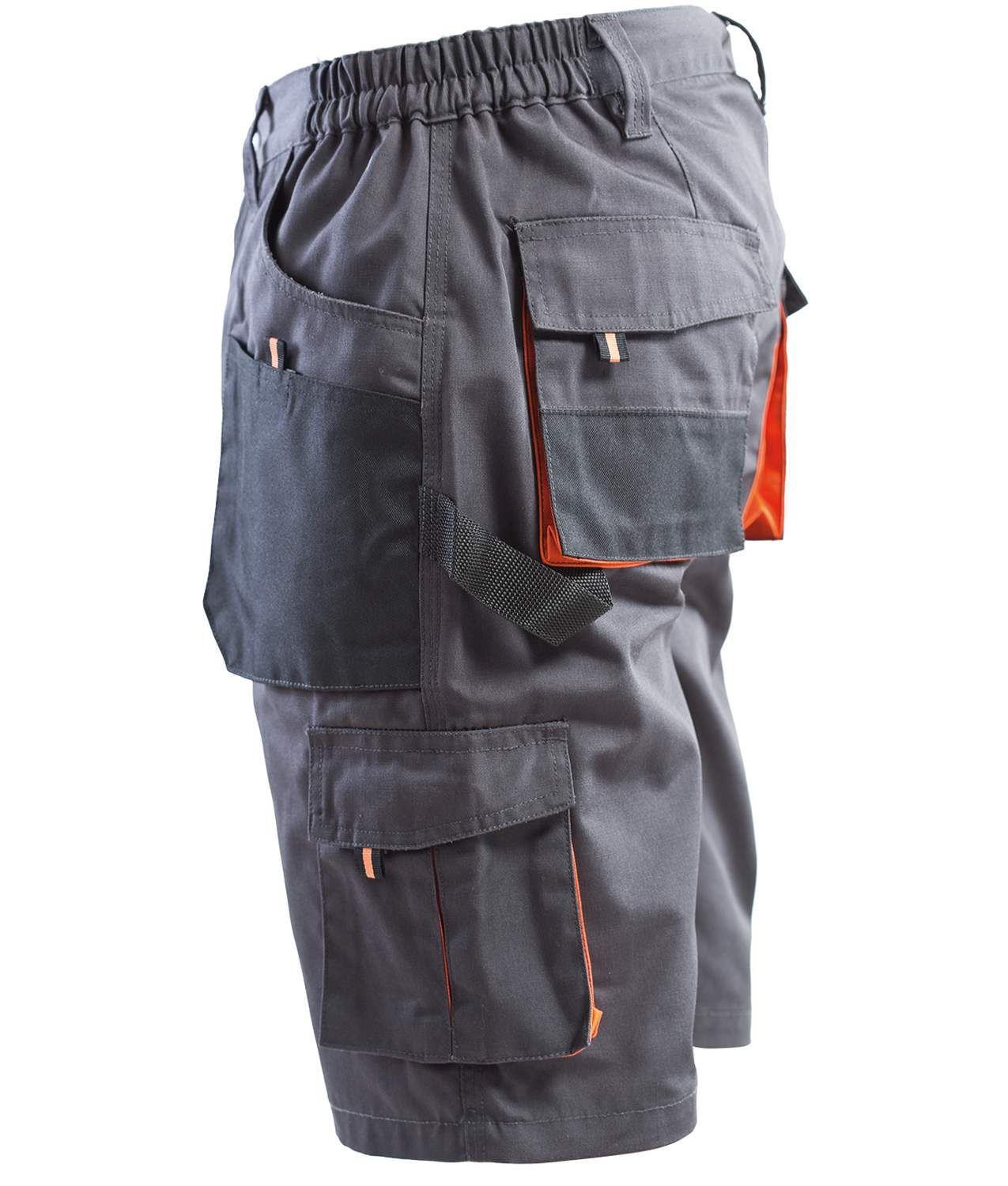 Bermuda da lavoro P&P Loyal Liberty