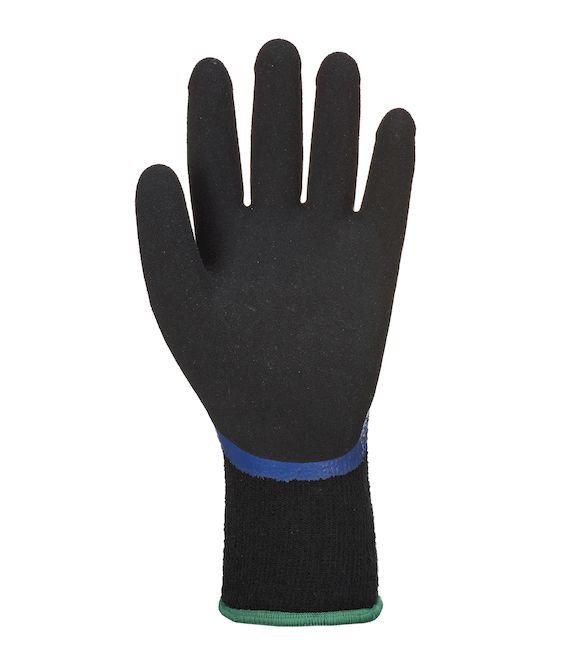 Guanti antifreddo impermeabili Portwest AP01