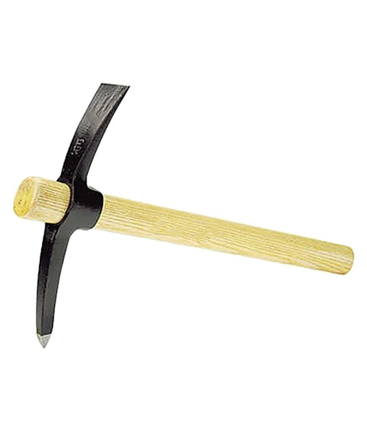 Martellina Martellina