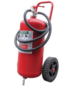 Estintore a polvere 50 kg carrellato