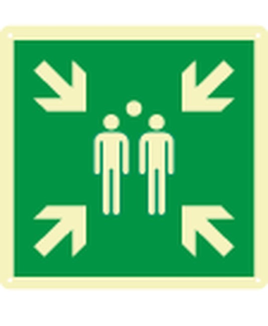 Cartello fotoluminescente  Punto di raccolta Cartello fotoluminescente  Punto di raccolta