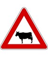 Segnale stradale pericolo animali domestici Segnale stradale pericolo animali domestici