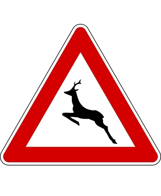 Cartello stradale pericolo animali selvatici Cartello stradale pericolo animali selvatici