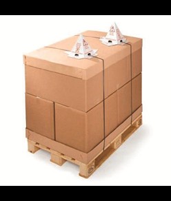 piramide segnaletica