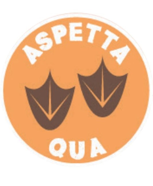 Adesivo calpestabile 'aspetta qua'