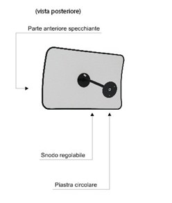 Specchio di sorveglianza  Leonardo