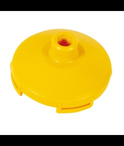 Campana nuda