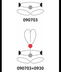 LIBERTY BLACK - Imbracatura bassa Camp