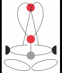 GOLDEN TOP PLUS - Imbracatura completa Camp