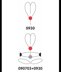 GOLDEN CHEST - Imbracatura pettorale Camp