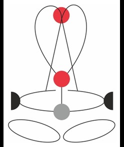 GOLDEN TOP EVO ALU - Imbracatura completa Camp