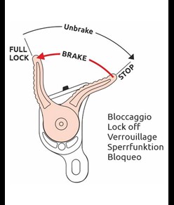 GIANT - Discensore Camp