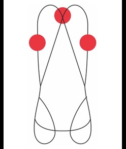 VERTICAL 2 - Imbracatura completa Camp