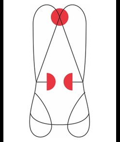 BASIC DUO - Imbracatura completa Camp