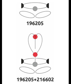 ACCESS SIT - Imbracatura bassa Camp