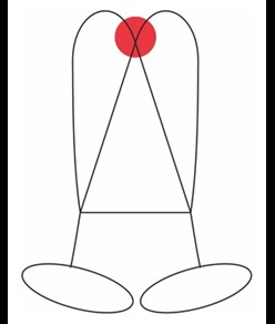 QUANTUM - Imbracatura completa Camp