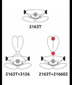 TREE ACCESS EVO - Imbracatura bassa Camp
