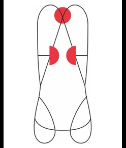 SWIFTY VEST - Imbracatura completa Camp