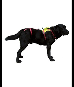 KRONOS - Imbracatura per cani Camp