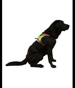 KRONOS - Imbracatura per cani Camp