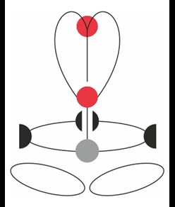 GT - Imbracatura completa Camp