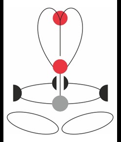 GT FIXE - Imbracatura completa Camp