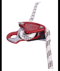 DRUID - Discensore Camp