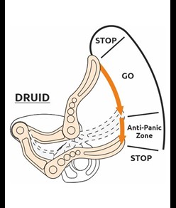 DRUID - Discensore Camp