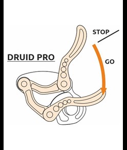 DRUID PRO - Discensore Camp