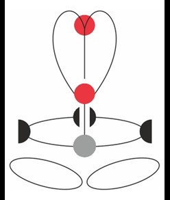 GT XT BLACK - Imbracatura completa Camp