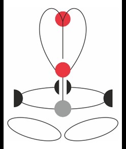 ACCESS XT BLACK - Imbracatura completa Camp