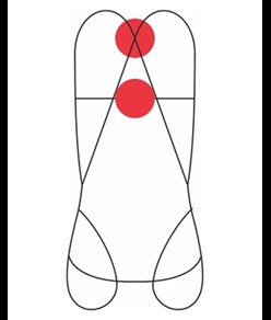 FOCUS LIGHT XT - Imbracatura completa Camp