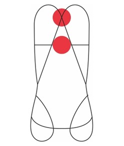 FOCUS VEST XT - Imbracatura completa Camp FOCUS VEST XT - Imbracatura completa Camp