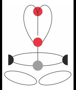 FRX - Imbracatura ignifuga Camp