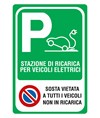 Cartello 'stazione di ricarica veicoli elettrici con divieto di sosta'