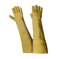 Guanti antimorso