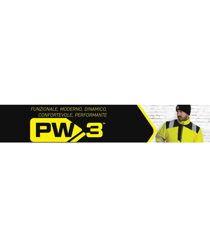 PW3