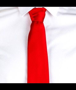 Cravatta s/nodo Garys